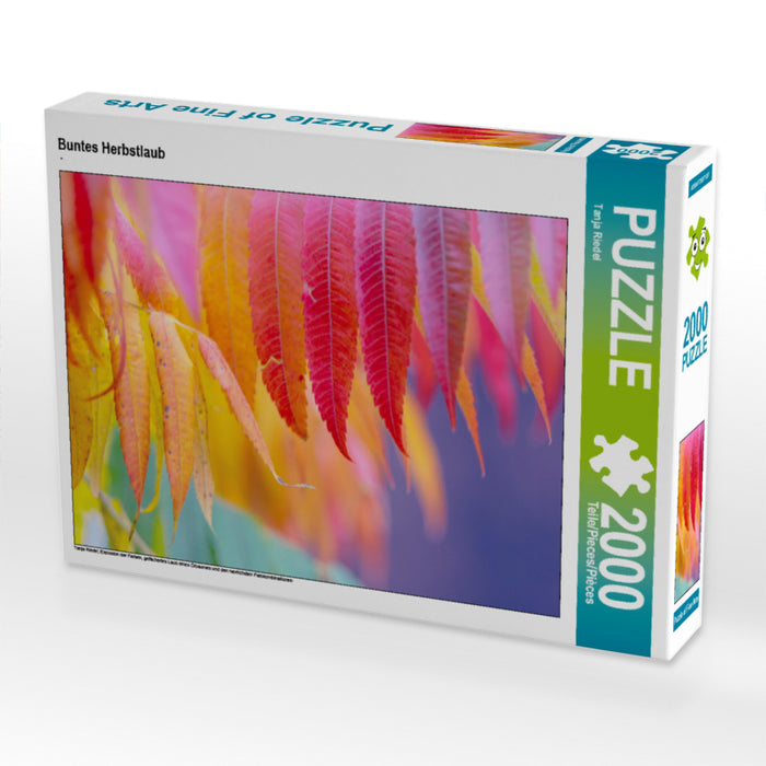 Buntes Herbstlaub 2000 Teile Puzzle quer - CALVENDO Foto-Puzzle'