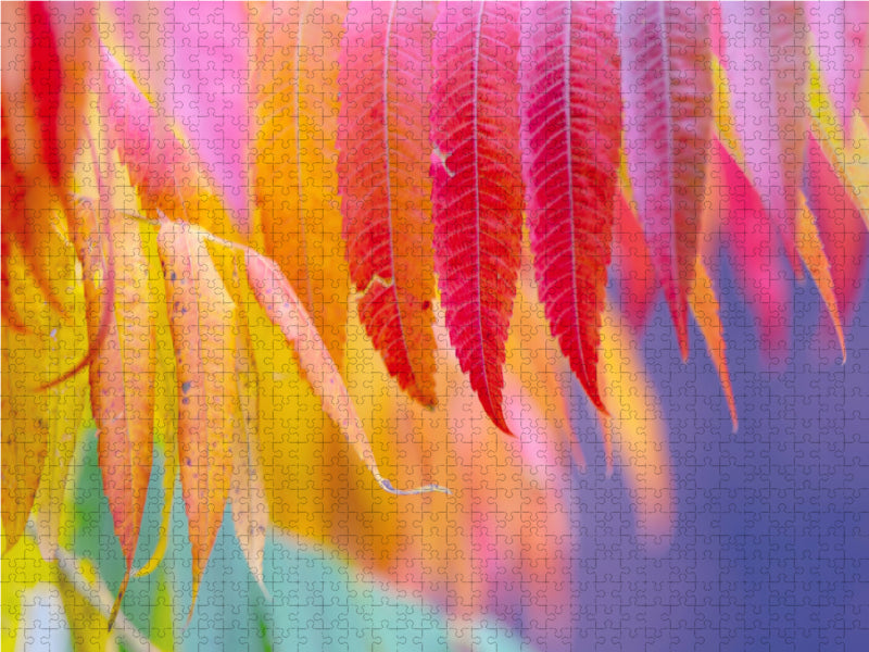 Buntes Herbstlaub 2000 Teile Puzzle quer - CALVENDO Foto-Puzzle'
