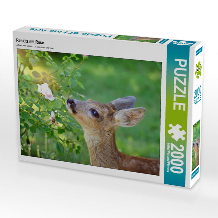 Rehkitz mit Rose 2000 Teile Puzzle quer - CALVENDO Foto-Puzzle'