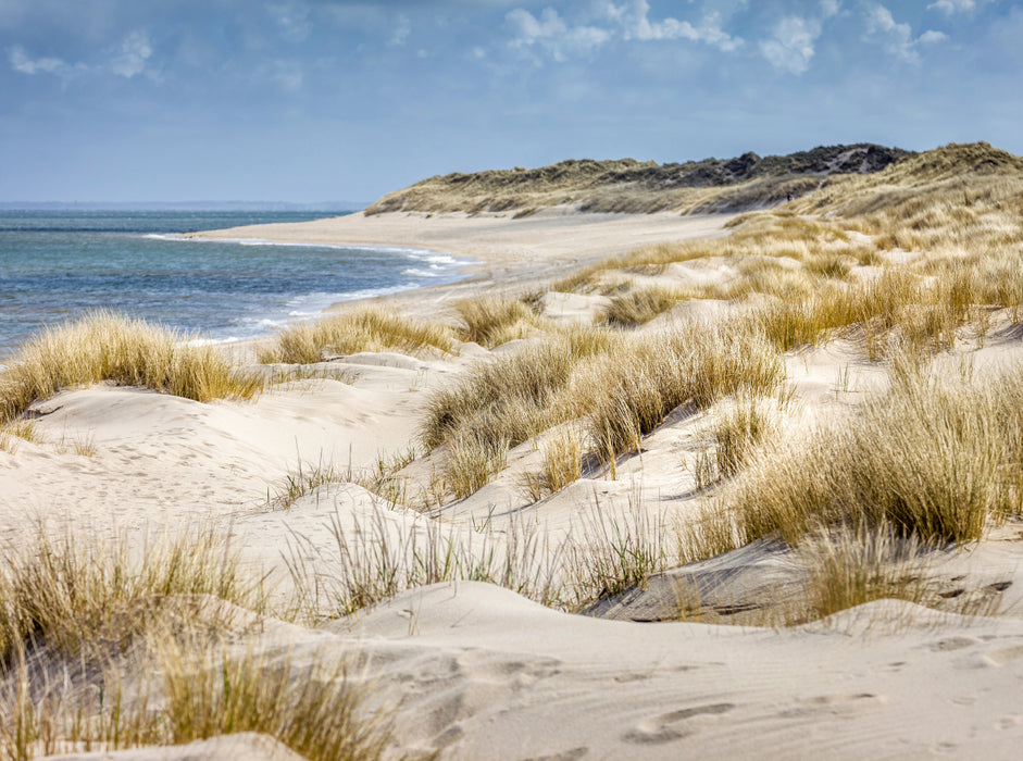 Dünenlandschaft im Naturschutzgebiet Ellenbogen auf Sylt 2000 Teile Puzzle quer - CALVENDO Foto-Puzzle'