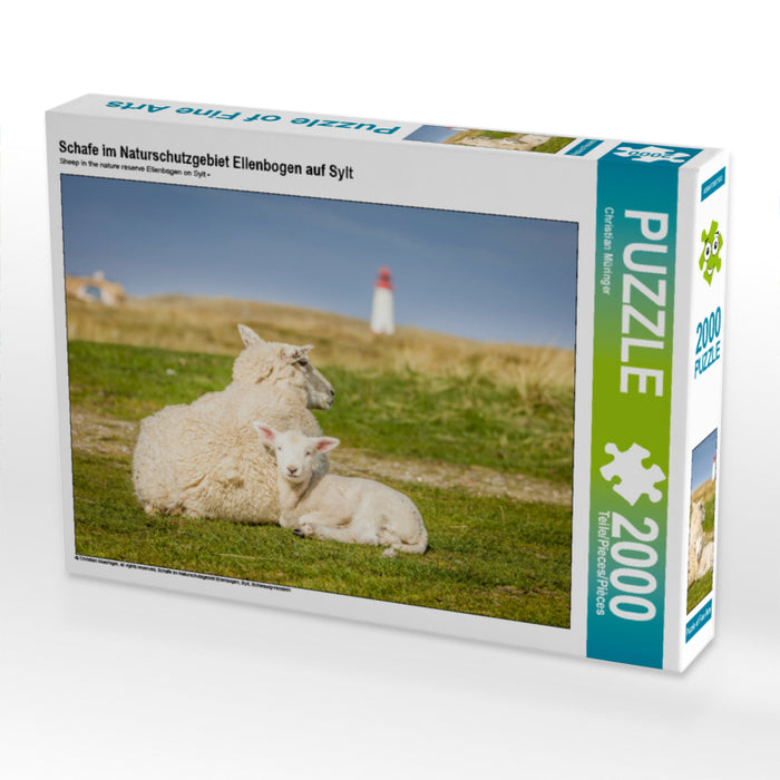 Schafe im Naturschutzgebiet Ellenbogen auf Sylt 2000 Teile Puzzle quer - CALVENDO Foto-Puzzle'