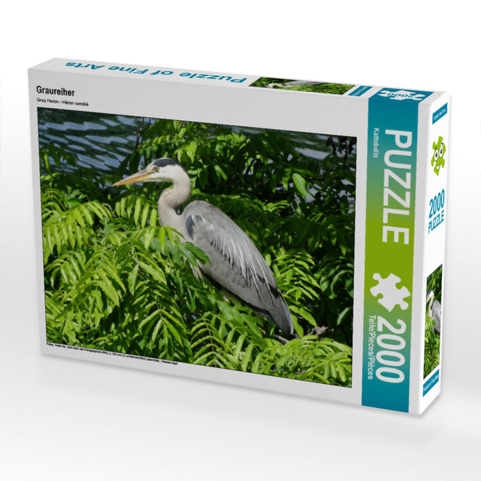 Graureiher 2000 Teile Puzzle quer - CALVENDO Foto-Puzzle'