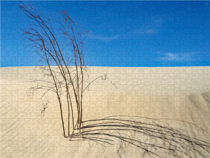 Dried bush - CALVENDO photo puzzle 