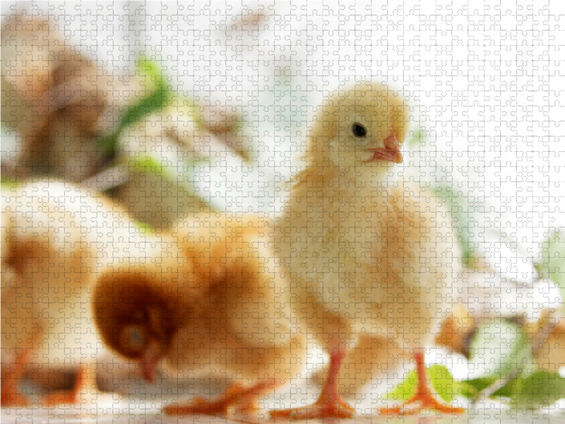 Je prendrai soin de toi - Puzzle photo CALVENDO 