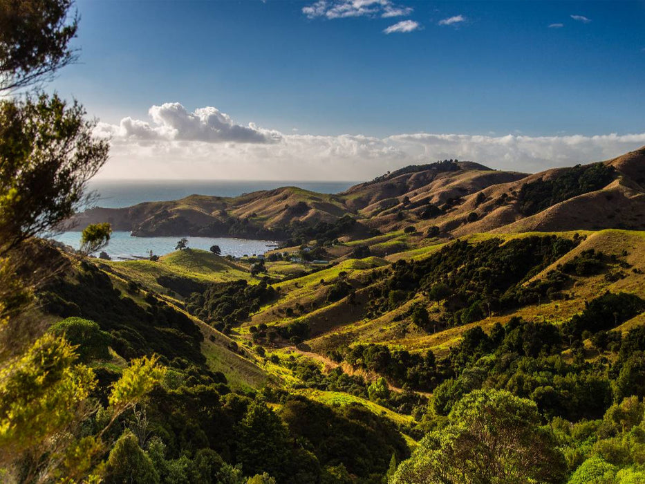 Adventure in Paradise - Nordinsel Neuseelands - CALVENDO Foto-Puzzle'