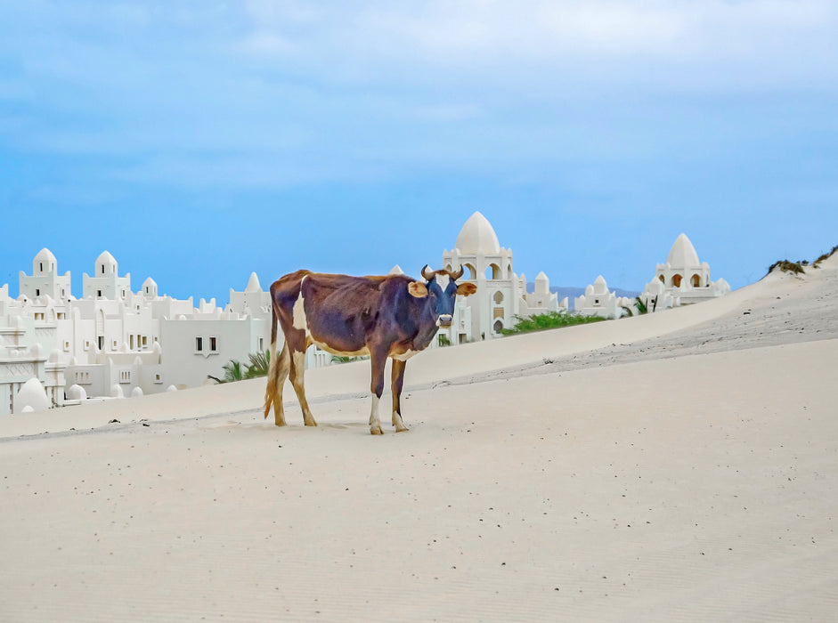 Sand dune - CALVENDO photo puzzle 