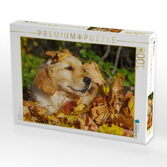 Herbstfarben - CALVENDO Foto-Puzzle'