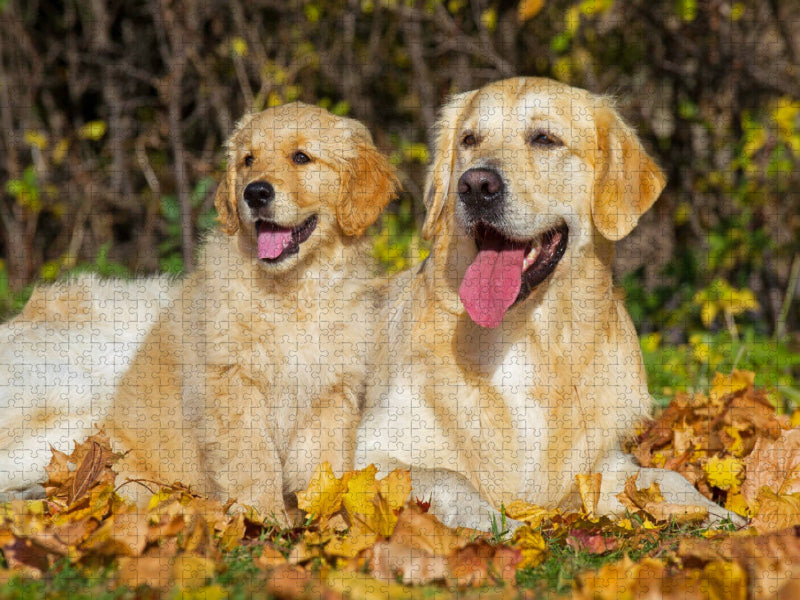 Bei seinem großen Freund fühlt er sich sicher - CALVENDO Foto-Puzzle'