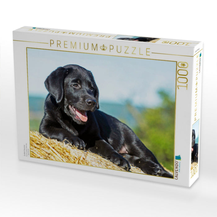 Endlich Sommer - CALVENDO Foto-Puzzle'