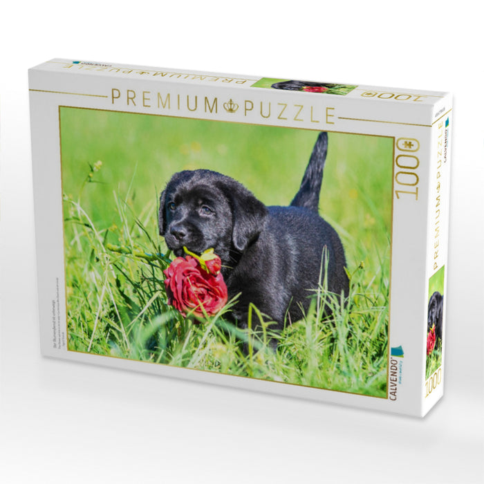 Der Blumendienst ist unterwegs - CALVENDO Foto-Puzzle'