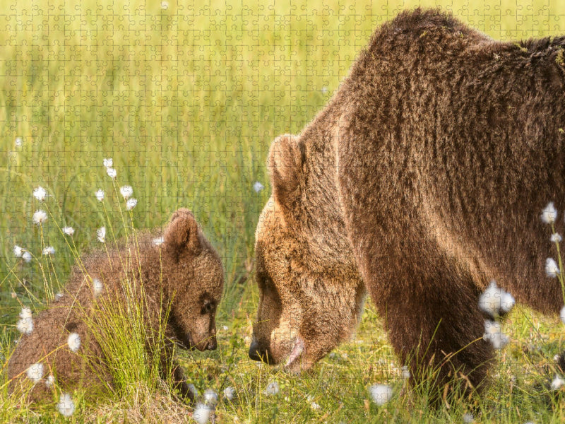 "Bärengespräch" - Finnland - CALVENDO Foto-Puzzle'
