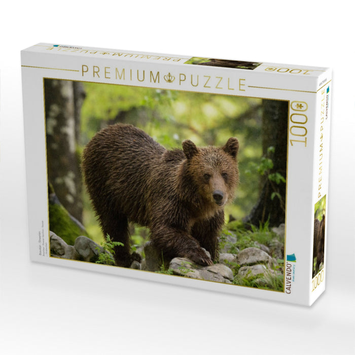 Braunbär - Slowenien - CALVENDO Foto-Puzzle'