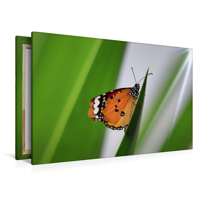 Premium Textil-Leinwand Danaus chrysippus - Kleiner Monarch