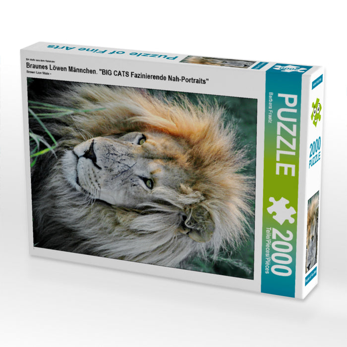 Braunes Löwen Männchen. Ein Motiv aus dem Kalender "BIG CATS Fazinierende Nah-Portraits" 2000 Teile Puzzle hoch - CALVENDO Foto-Puzzle'