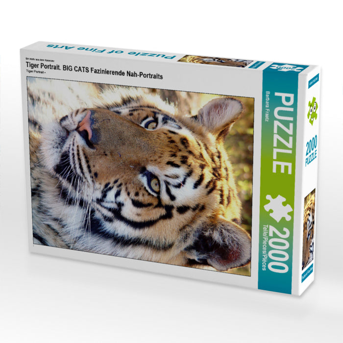 Tiger Portrait. Ein Motiv aus dem Kalender BIG CATS Fazinierende Nah-Portraits 2000 Teile Puzzle hoch - CALVENDO Foto-Puzzle'