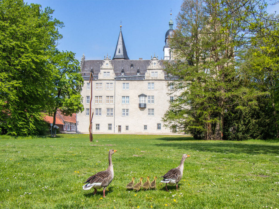 Schloss Wolfsburg - endlich als Puzzle. - CALVENDO Foto-Puzzle'