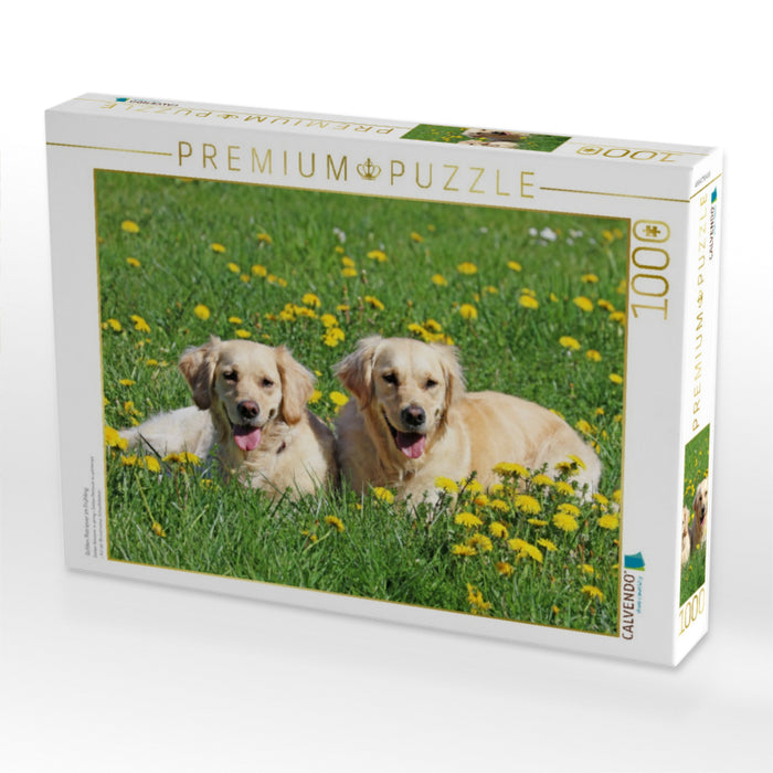 Golden Retriever im Frühling - CALVENDO Foto-Puzzle'