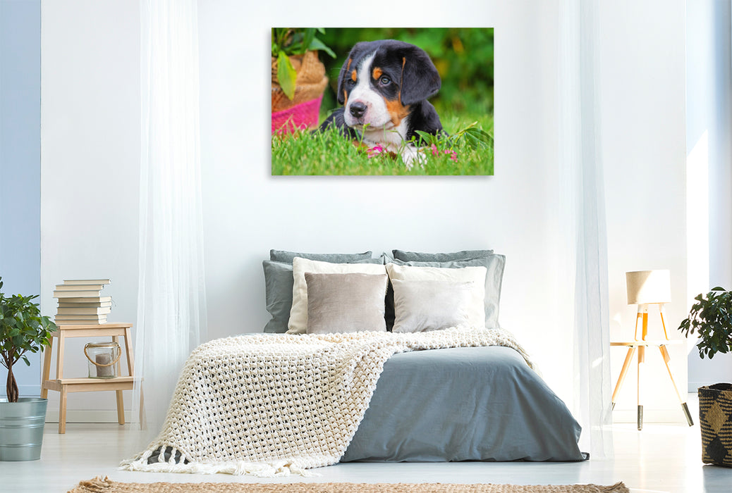 Premium Textil-Leinwand Premium Textil-Leinwand 120 cm x 80 cm quer Ein Motiv aus dem Kalender Ein Hund zum Verlieben - Großer Schweizer Sennenhund