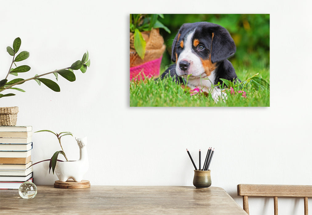 Premium Textil-Leinwand Premium Textil-Leinwand 120 cm x 80 cm quer Ein Motiv aus dem Kalender Ein Hund zum Verlieben - Großer Schweizer Sennenhund