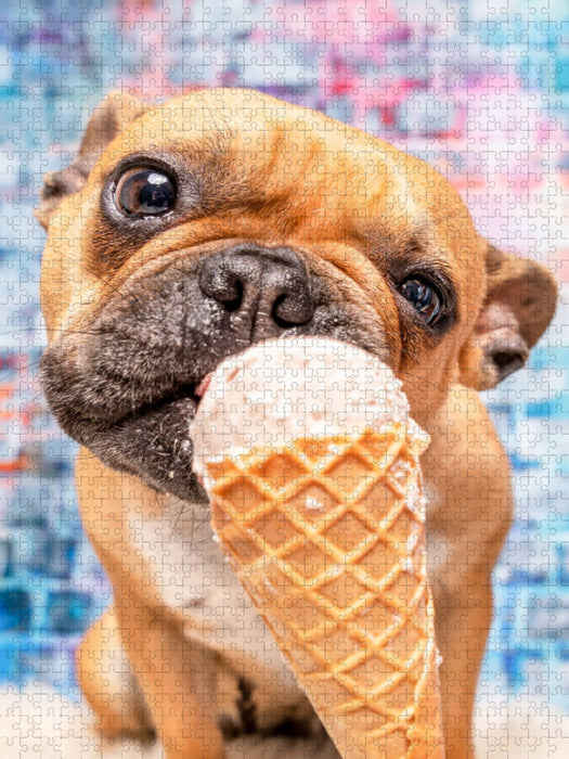 Franz. Bulldogge Lieselotte - CALVENDO Foto-Puzzle'