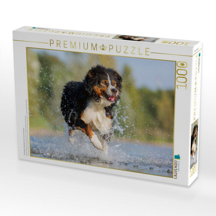 Australian Shepherd rennt durchs Wasser - CALVENDO Foto-Puzzle'