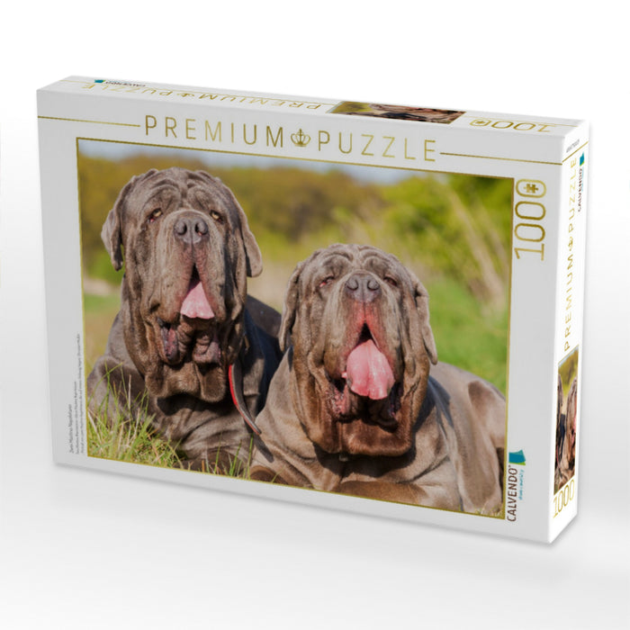 Zwei Mastino Napoletano - CALVENDO Foto-Puzzle'