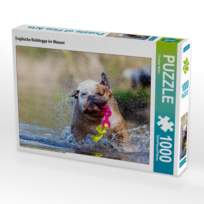 Englische Bulldogge im Wasser 2000 Teile Puzzle quer - CALVENDO Foto-Puzzle'