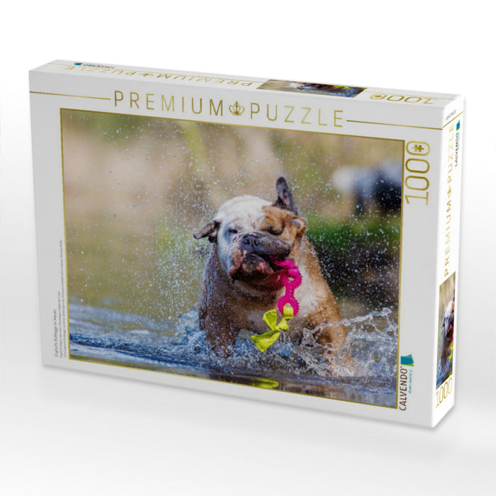 Englische Bulldogge im Wasser - CALVENDO Foto-Puzzle'