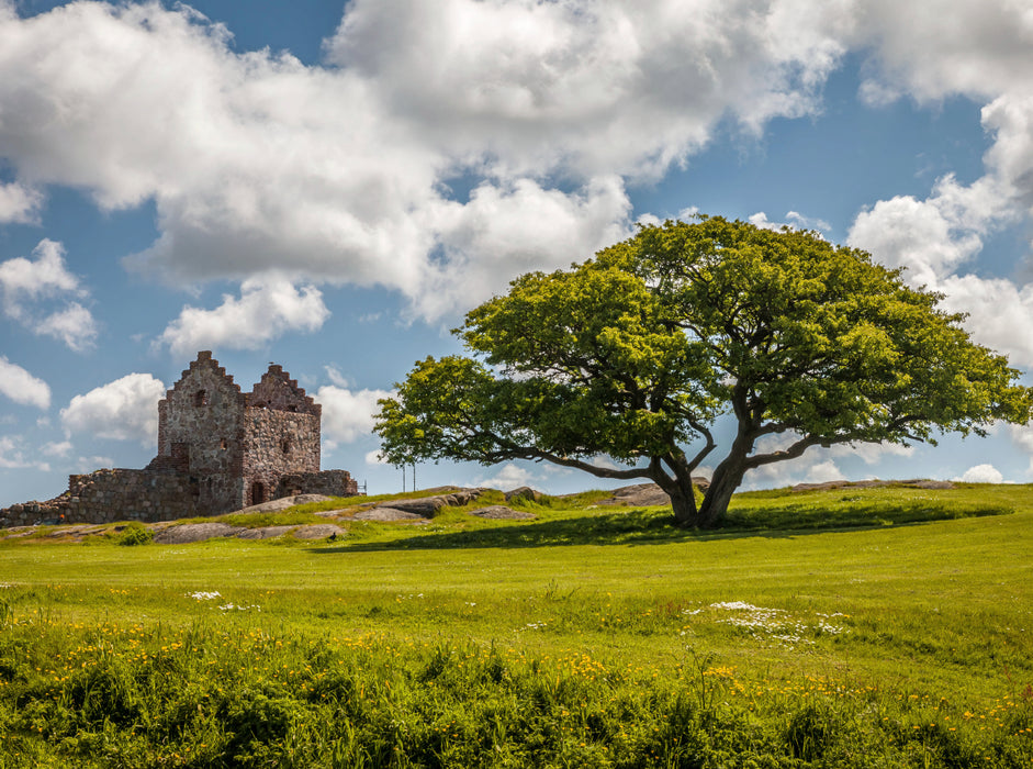 Hammershus Fortress on Bornholm, Denmark - CALVENDO photo puzzle 