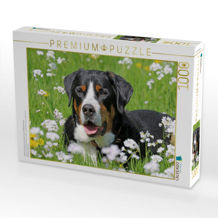 Großer Schweizer Sennenhund auf der Blumenwiese - CALVENDO Foto-Puzzle'