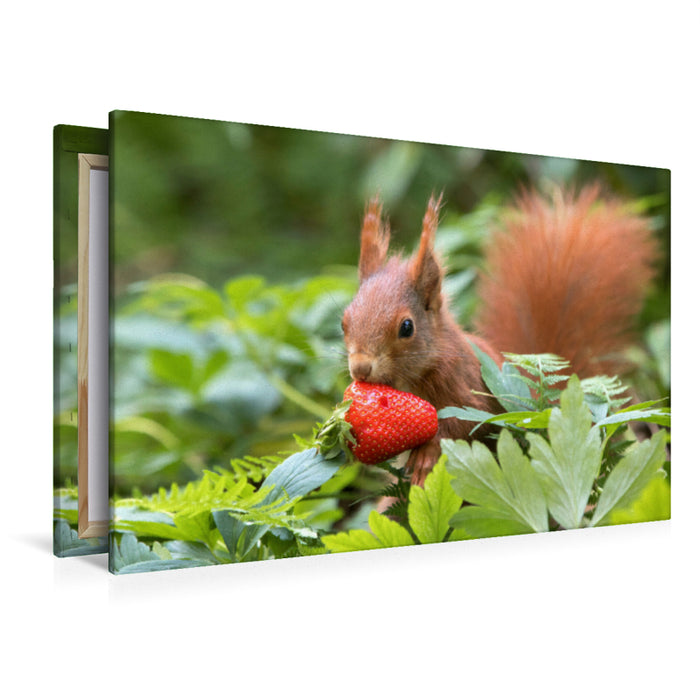 Premium Textil-Leinwand Eichhörnchen mit Erdbeere