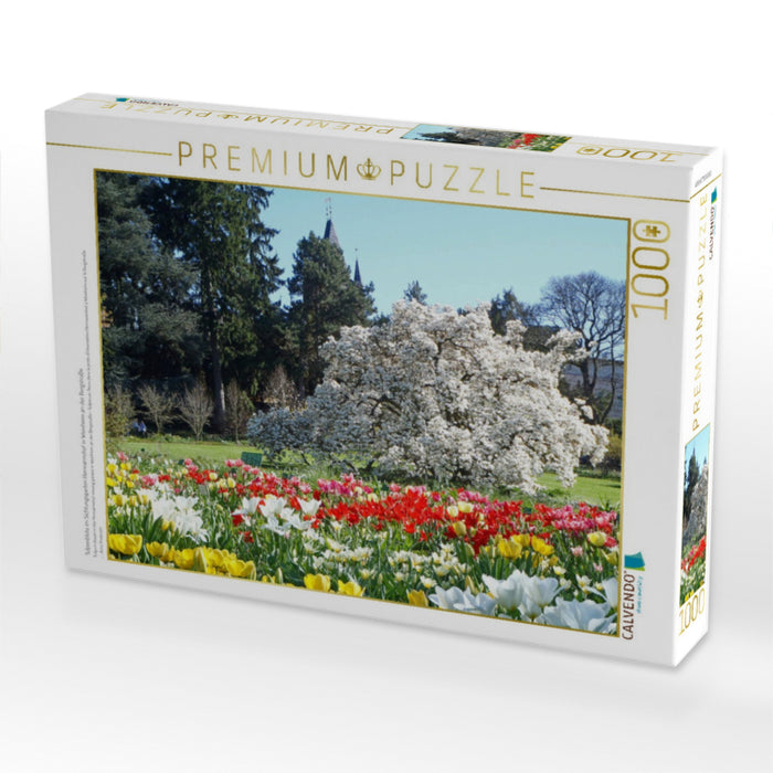 Tulpenblüte im Sichtungsgarten Hermannshof in Weinheim an der Bergstraße - CALVENDO Foto-Puzzle'