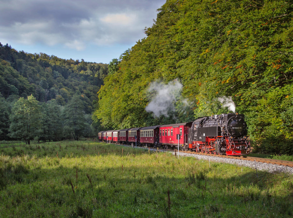 Harzquebahn an der Eichsfelder Talmühle 2000 Teile Puzzle quer - CALVENDO Foto-Puzzle'