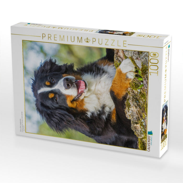 Eine süße Junghündin - CALVENDO Foto-Puzzle'