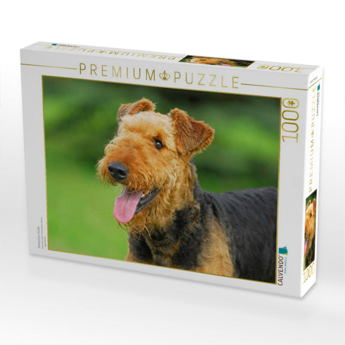 Porträt einer Hündin - CALVENDO Foto-Puzzle'