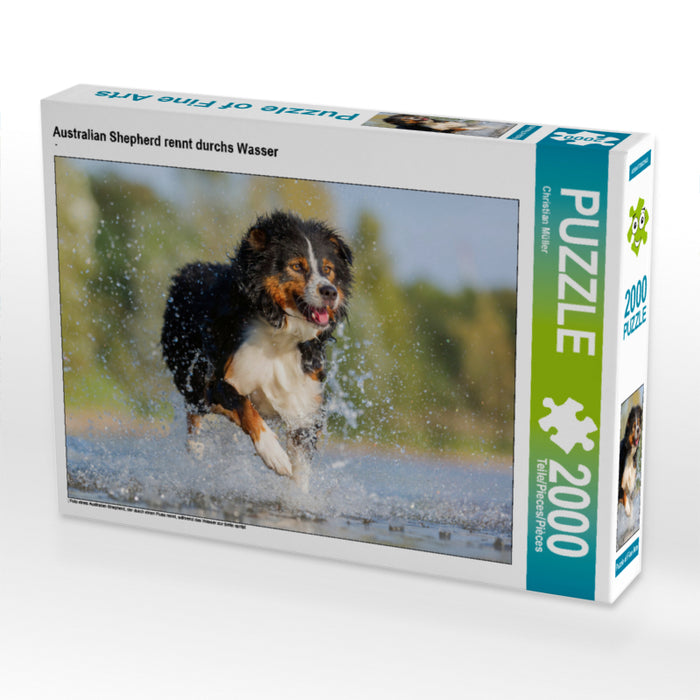 Australian Shepherd rennt durchs Wasser 2000 Teile Puzzle quer - CALVENDO Foto-Puzzle'