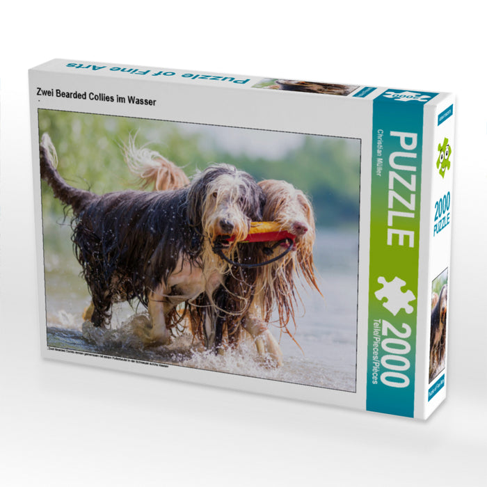 Zwei Bearded Collies im Wasser 2000 Teile Puzzle quer - CALVENDO Foto-Puzzle'