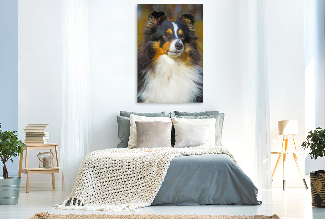 Toile textile premium Toile textile premium 80 cm x 120 cm de hauteur Un doux chien tricolore 