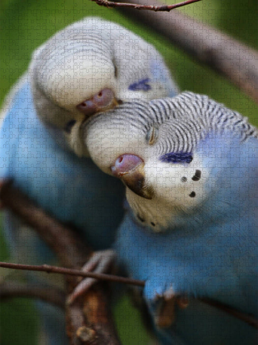 Süße Welliküken! - CALVENDO Foto-Puzzle'