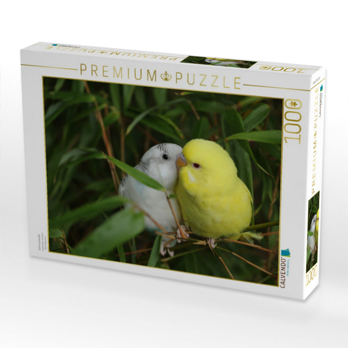 Schmusewellis - CALVENDO Foto-Puzzle'