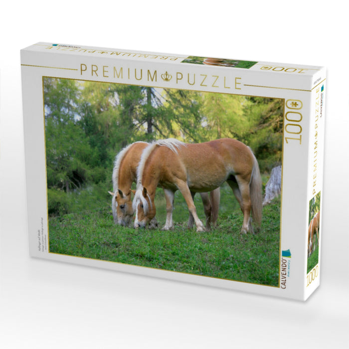 Haflinger auf Weide - CALVENDO Foto-Puzzle'