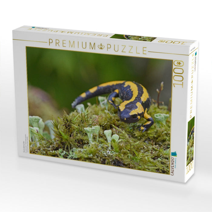 Fire salamander - CALVENDO photo puzzle 