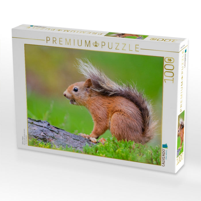 Zähne zeigen - CALVENDO Foto-Puzzle'
