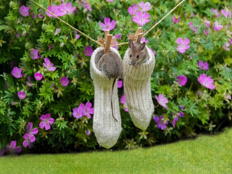 Das sind meine Lieblingskuschelsocken! - CALVENDO Foto-Puzzle'