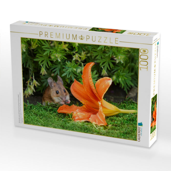Da könnte man sich bestimmt auch gut rein kuscheln! - CALVENDO Foto-Puzzle'