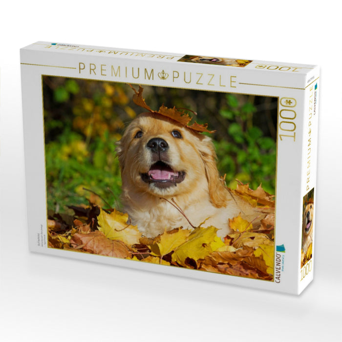 Gut behütet - CALVENDO Foto-Puzzle'