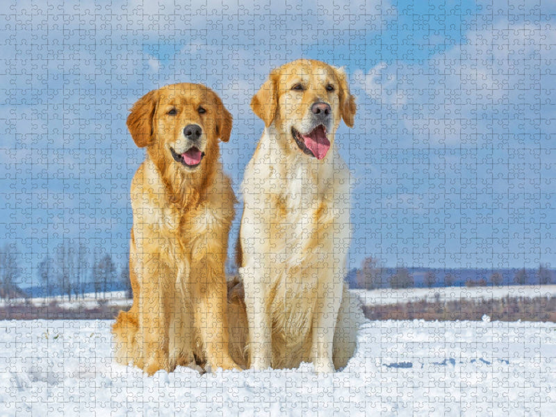 Allen ein gesundes Neues Jahr - CALVENDO Foto-Puzzle'