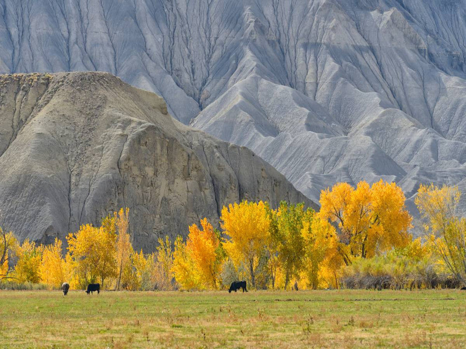 Badlands bei Torrey, Utah, USA - CALVENDO Foto-Puzzle'