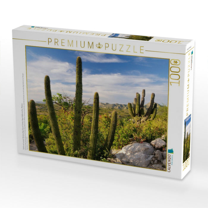 Cactus at sunset, Ventana Bay, Sea of Cortez, Baja California Sur, Mexico - CALVENDO Foto-Puzzle'