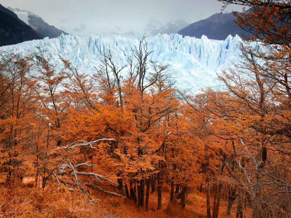 Glacier Perito Moreno, Parque Nacional Los Glaciares, El Calafate, Patagonia, Argentina - CALVENDO Foto-Puzzle'